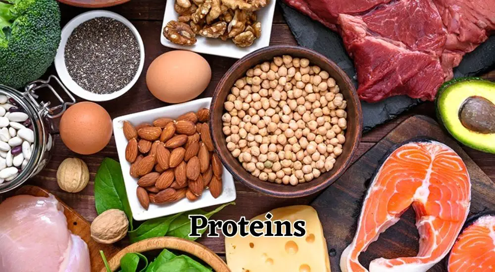 Proteins - What Are The Best Nutrients For Healthy Hair?
