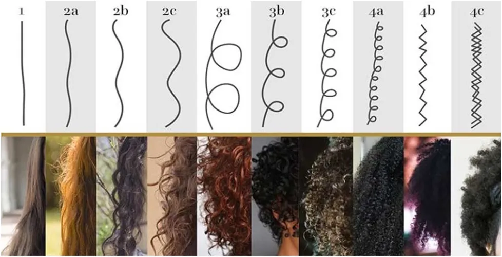 Understanding Your Hair Type